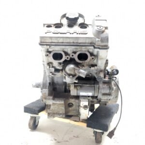 2007 Polaris RZR XP 900 engine